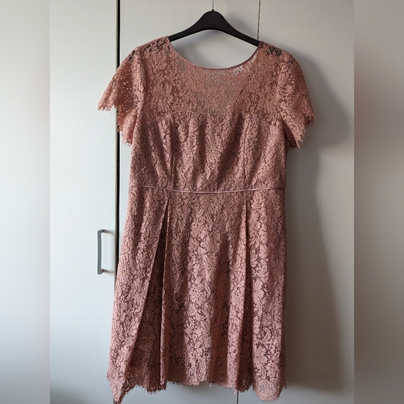 Antique Rose Lace Dress M&S Size 18 - Picture 3 of 10